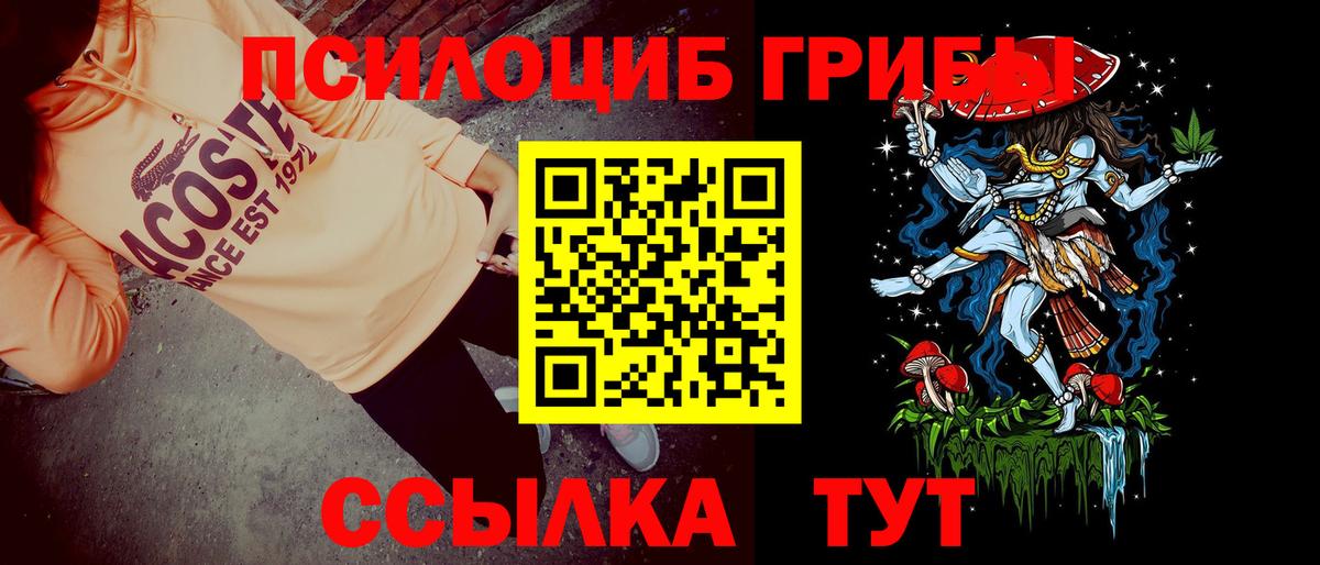 Псилоцибиновые грибы Psilocybe Ставрополь