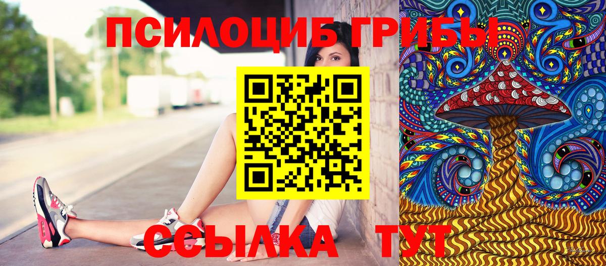 Галлюциногенные грибы Magic Shrooms  Вход с VPN  Ставрополь  Псилоцибиновые грибы прущие грибы 